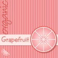 Bright Organic Fruit Background