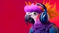 A bright parrot in headphones listens to music on a red background. Place for text, copyspace Royalty Free Stock Photo