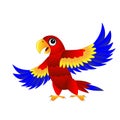 Bright parrot on white background