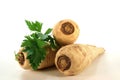 Bright Parsley root