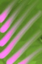 Bright pattern for backgrounds - diagonal light purple stripes on a green field