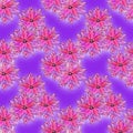 Bright pattern with pink flowers Royalty Free Stock Photo