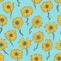 Bright pattern with yellow chamomile flowers Royalty Free Stock Photo