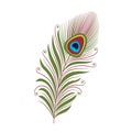 Bright peacock feather decorated with curls and circles