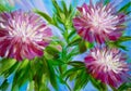Bright peony flowers lilac white on blue background. Royalty Free Stock Photo