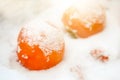 Bright persimmon fruit in a box covered with snow. The concept of the beginning of winter, white Christmas