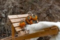 Bright persimmon fruits, orange fruits from the tree with a pleasant sweet and astringent taste among the dry twigs of the autumn