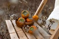 Bright persimmon fruits, orange fruits from the tree with a pleasant sweet and astringent taste among the dry twigs of the autumn