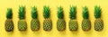 Bright pineapple pattern for minimal style. Top View. Pop art design, creative concept. Copy Space. Banner. Fresh Royalty Free Stock Photo