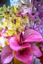 Bright pink anthurium flowers with yellow orchids
