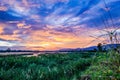 Bright pink and blue sunset and thick tall grass and a flat lazy river Royalty Free Stock Photo