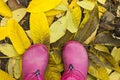 Bright pink boots on the fallen leaves. Autumn colors. Walking in the park. Yellow chestnut leaves on the ground