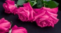 bright pink bouquet of roses, on a textured background Royalty Free Stock Photo