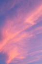 Bright pink clouds Royalty Free Stock Photo