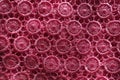 Bright pink lace fabric from above Royalty Free Stock Photo