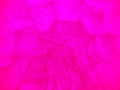 Bright Pink Fabric Background