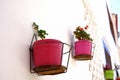 Bright pink flower pots on white wall against clear sky background Royalty Free Stock Photo