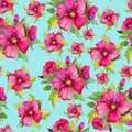 Bright pink malva flowers with green buds and leaves on light blue background. Seamless floral pattern. Watercolor painting.