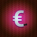 bright pink neon euro icon on brick background