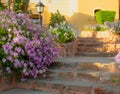 Bright pink petunias overflowing on to the stone pathway and steps.