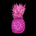 Bright pink pineapple on black bg, full color