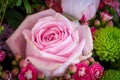 Bright pink rose in a color spring flower bouquet with chrysanthemums, kalanchoes,peony, on blurred background Royalty Free Stock Photo