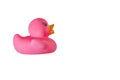 Bright pink rubber toy duck Royalty Free Stock Photo