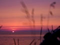 Bright pink sunset from the beach