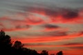 Bright Pink Sunset with Cirrus Clouds