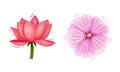 Bright Pink Tropical Flower with Lotus or Water Lily Vector Set Royalty Free Stock Photo