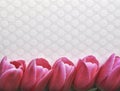 Bright pink tulip flower border on textured background with text and copy space Royalty Free Stock Photo