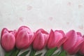 Bright pink tulip flower border on pink heart background with text and copy space Royalty Free Stock Photo