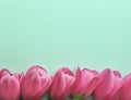 Bright pink tulip flower border on pink heart background with text and copy space Royalty Free Stock Photo
