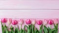 Bright pink tulip flowers on a blush pink wooden background with copy space. Spring banner Royalty Free Stock Photo