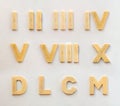 Bright plastic roman numbers with magnet on white paper