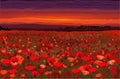 Bright poppy field with sunset sky vector illustration