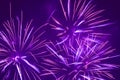 bright purple fireworks in night sky background Royalty Free Stock Photo