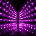 Bright purple LED wall lamps illuminate the background with incandescence