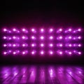Bright purple LED wall lamps illuminate the background with incandescence