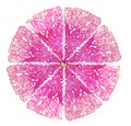 Bright purple-pink wicker mandala. Vector abstract round element
