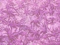 Bright purple ultraviolet neon natural grass as background