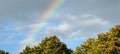 Colorful rainbow visible above the trees