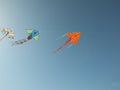 Bright rainbow kites in blue sky, low angle view Royalty Free Stock Photo