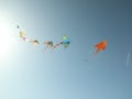 Bright rainbow kites in blue sky, low angle view Royalty Free Stock Photo