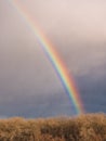 Bright rainbow over trees against dark sky Royalty Free Stock Photo