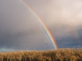 Bright rainbow over trees against dark sky Royalty Free Stock Photo
