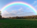 Rainbow over the wheat fields. Royalty Free Stock Photo