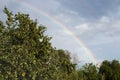 Bright rainbow in the summer over the apple orchard Royalty Free Stock Photo