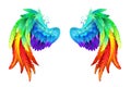 Bright rainbow wings on white background Royalty Free Stock Photo