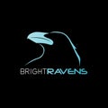 Bright Raven abstract mark logo 01